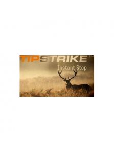 Norma náboje .300 WSM 170 grain Tipstrike 11,0g