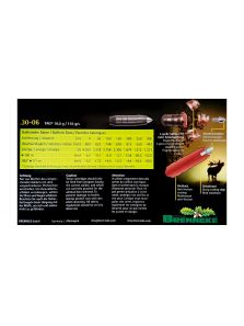 Brenneke .30-06Spr. TAG 10,0g
