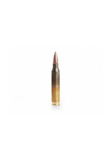 GGG .223Rem. 55gr/3,56g FMJ (GPR11)