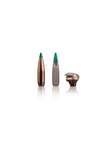 Sako .308Win. 10,7g TSP Gamehead Pro